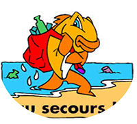 collecte_articles