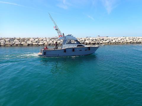 2026 marins 01 001 25
