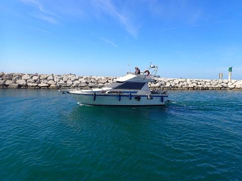 2026 marins 01 001 29