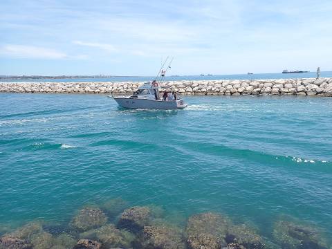 2026 marins 02 001 21