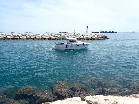 2026 marins 02 001 41