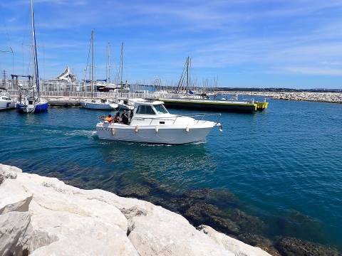 2026 marins 02 001 45