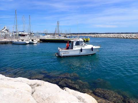 2026 marins 02 001 50